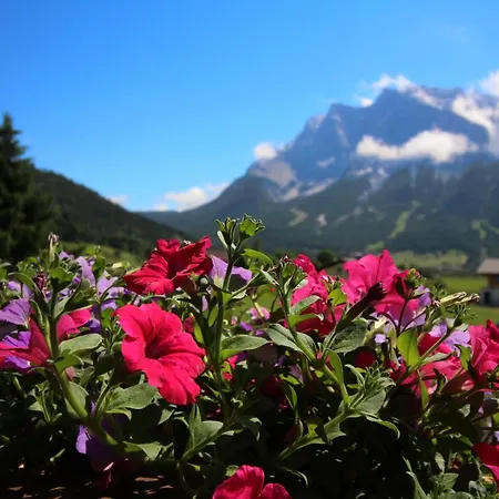 Gaestehaus Alpenblick 3* 레르모스